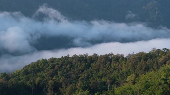 Landscape of greenery rainforest mountains and hills with the sea of fog