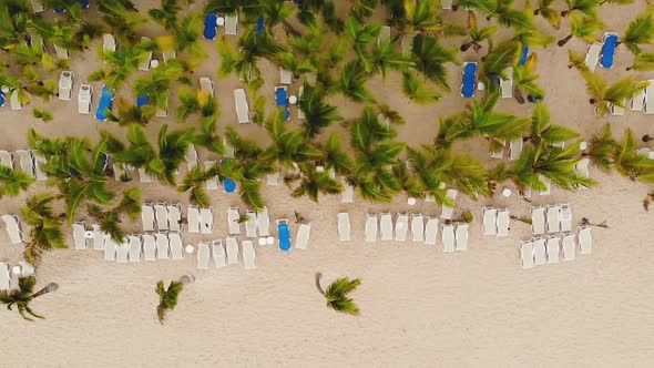 Resort Beach Empty with Deckchair on Coastline
