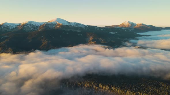 Aerial view of vibrant sunrise over Carpathian mountain hills covered with evergreen spruce alt