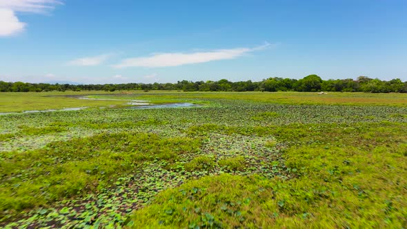 National Park in Sri Lanka alt