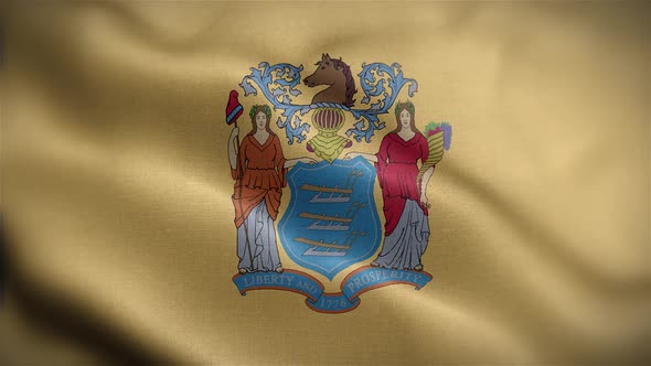 New Jersey State Flag Front