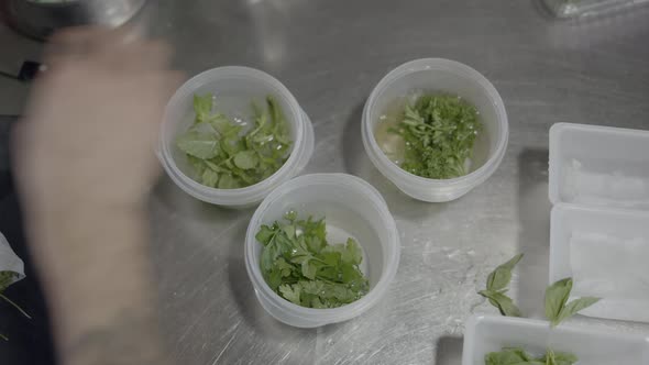 Overhead Shot of Chef Hands Putting Herbs in Plastic Containers alt