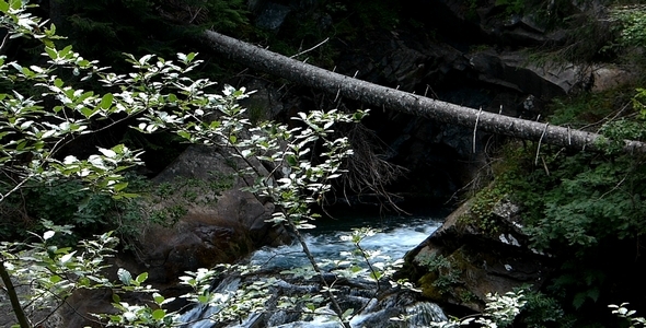 Mountain River 2 alt