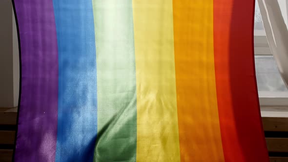 Rainbow LGBT Flag in Hand and Waving on Sunset in Sunny Rays alt