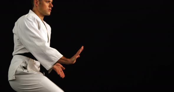 Man practicing karate alt