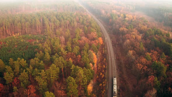 Cargo Train with Freight Cars Goes Through the Autumn Forest in a Haze  Aerial Shot alt