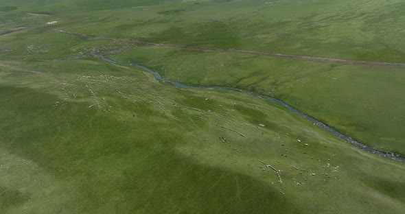 Aerial Panorama Of Ktsia-Tabatskuri Managed Reserve With Grazing Animals In Akhalkalaki, Samtskhe-Ja alt