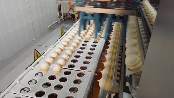 Ice Cream Automatic Production Line alt