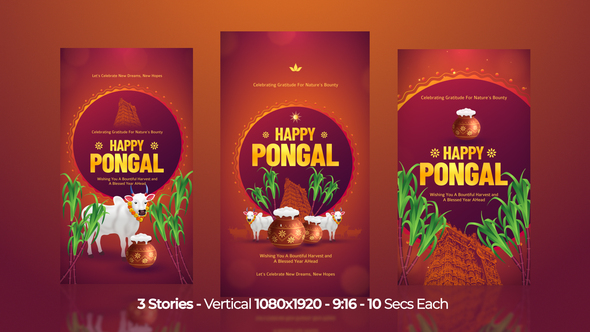 Happy Pongal Instagram Stories Openers template preview