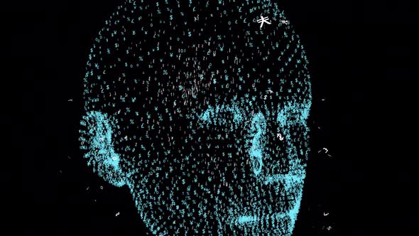 Data head and numbers alt