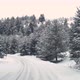 Snow covered forest road. - VideoHive Item for Sale