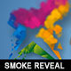 Particles Smoke Logo Reveal - VideoHive Item for Sale