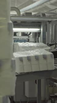 Conveyor in a Paper Mill alt