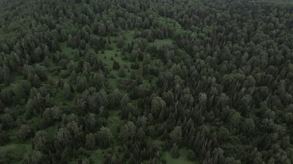 Deep green forest on mountains of Manzherok in summer time