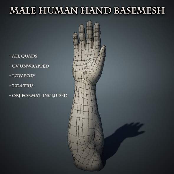 Human Male Hand - 3Docean 5660050
