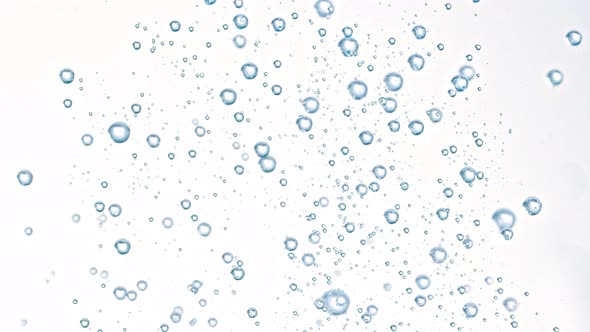 Super Slow Motion Shot of Rising Various Bubbles in Water Isolated on White Background at 1000 Fps alt
