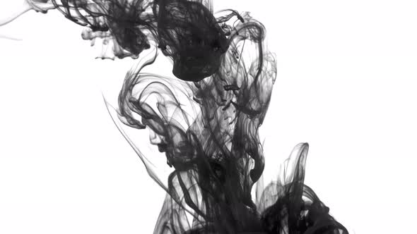 Ink in  Water 