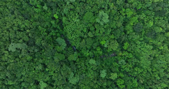Aerial footage of beautiful tropical forest mountain landscape in summer alt