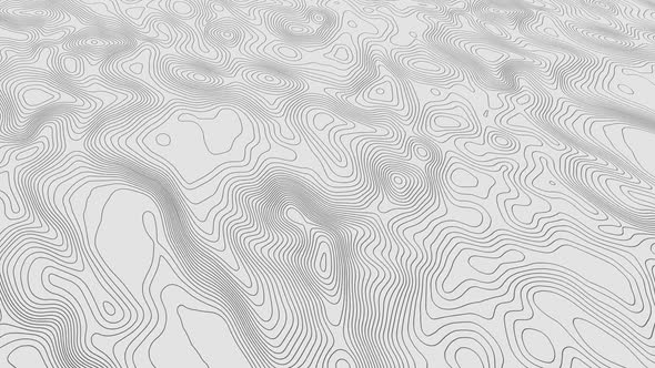 Seamless Loop  Topographic Map Animation