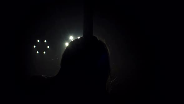 Closeup Silhouette of a Sexy Pole Dancing Dancer alt