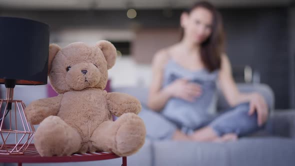 Closeup of Brown Teddy Bear in Living Room with Blurred Pregnant Woman Stroking Belly at Background alt