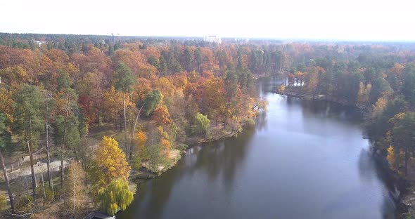 River Near Kiev in Pusha Voditsa Autumn Forest