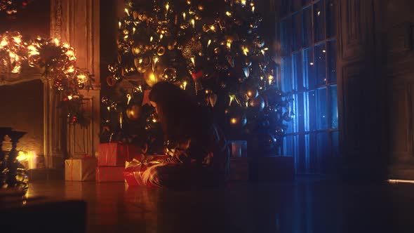 Christmas tree decorations alt