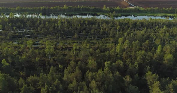 Bog Landscape with Lakes and Peat Harvesting Field Aerial View alt