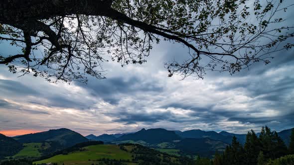 Dramatic Clouds Behind Tree alt