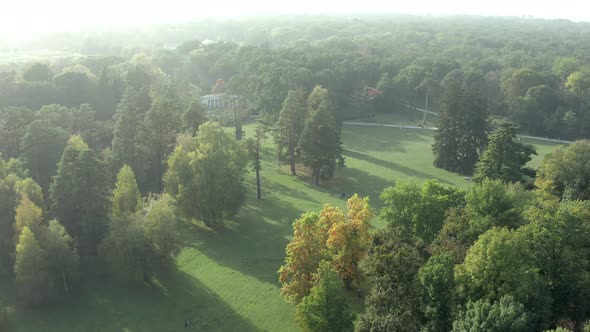 Beautiful flight over the park in summer, Trees with green leaves alt