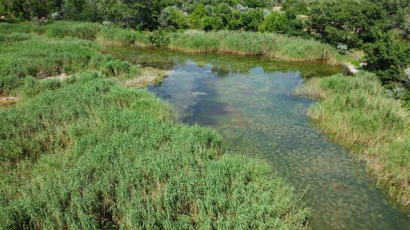 Algae covered the lake aerial alt