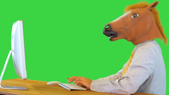 Formal Office Worker in Funny Horse Mask Work on Computer Using Modern Wireless Keyboard and Mouse