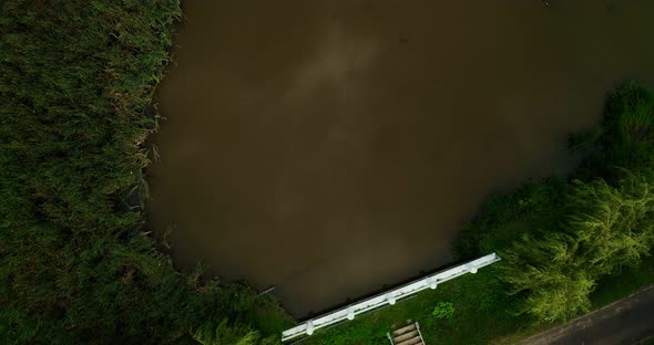 Flight of a gray heron from a copter