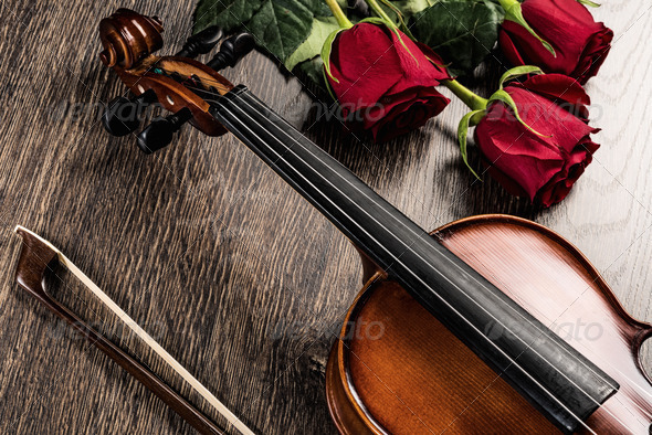 Violin, rose and music books
