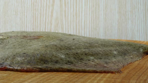 Fish of Flatfish alt