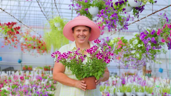 Happy Elderly Woman Florist Stand in Greenhouse Holding a Pot of Flowers in Hands alt