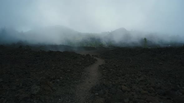 Dramatic Landscape on the Way to the Chineyro Volcano Through a Coniferous Forest on Lava in the alt
