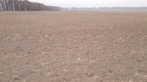 Land in a Plowed Field in Autumn alt