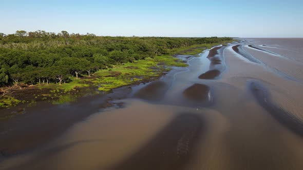 Aerial dolly out natural landscape shot capturing pristine mangrove muddy tidal flats at low tide, a alt
