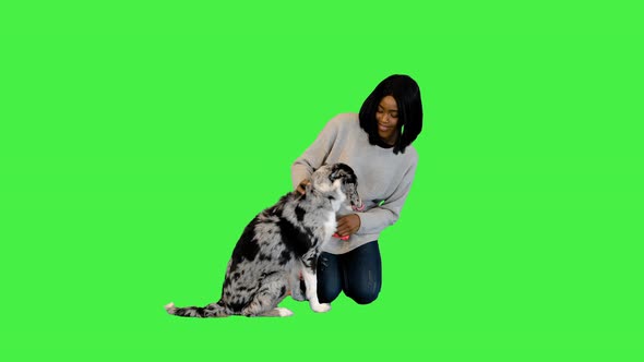 Smiling African Girl Sitting on the Floor with Her Border Collie on a Green Screen Chroma Key