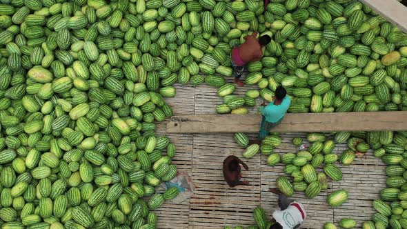 Aerial view of people among the watermelons at work on the Buriganga River. alt
