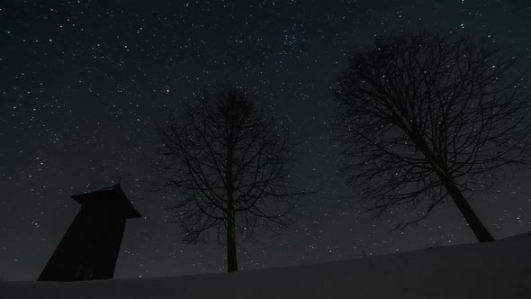 Stars in Night Sky over Bell-Tower and Trees alt