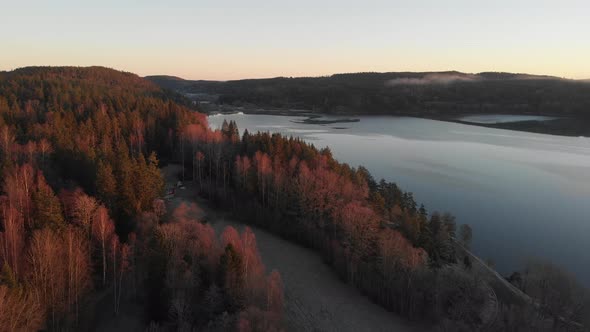 Lakeshore with Pine Tree Forest at Sunrise Forestry Concept Aerial Rising