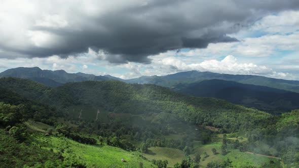 Aerial landscape  view of greenery rainforest and hills by drone