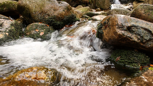 Mountain Stream