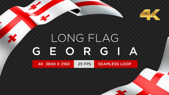 Long Flag Georgia alt