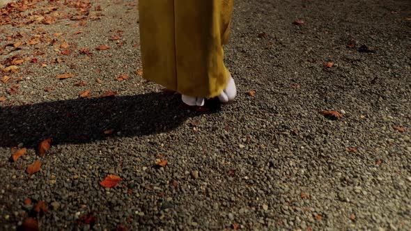 Elegant Japanese woman in Kyoto Japan alt