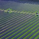 Solar Farm - VideoHive Item for Sale