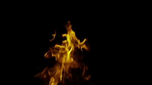 Fire on a Black Background alt