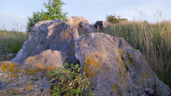 Quartz Sandstone Rocks with Young Wood Between at Evening Summer Sunset